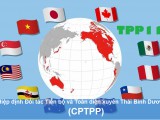 CPTPP debate picks up steam as deadline looms