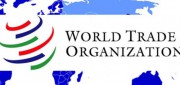 WTO issues new update on trade in medical goods in the context of COVID-19