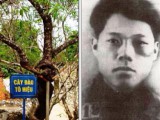 Hướng dẫn Kỷ niệm 110 năm Ngày sinh đồng chí Tô Hiệu, lãnh đạo tiền bối tiêu biểu của Đảng và cách mạng Việt Nam (1912 – 2022)